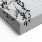 Scenic Water Wall Art - Black and White Jellyfish Close Up