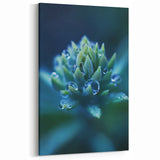 Elegant Water Wall Art - Black and White Jellyfish Photography