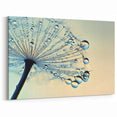 Delicate Water-Themed Wall Art - Dewy Dandelion Nature Close-Up