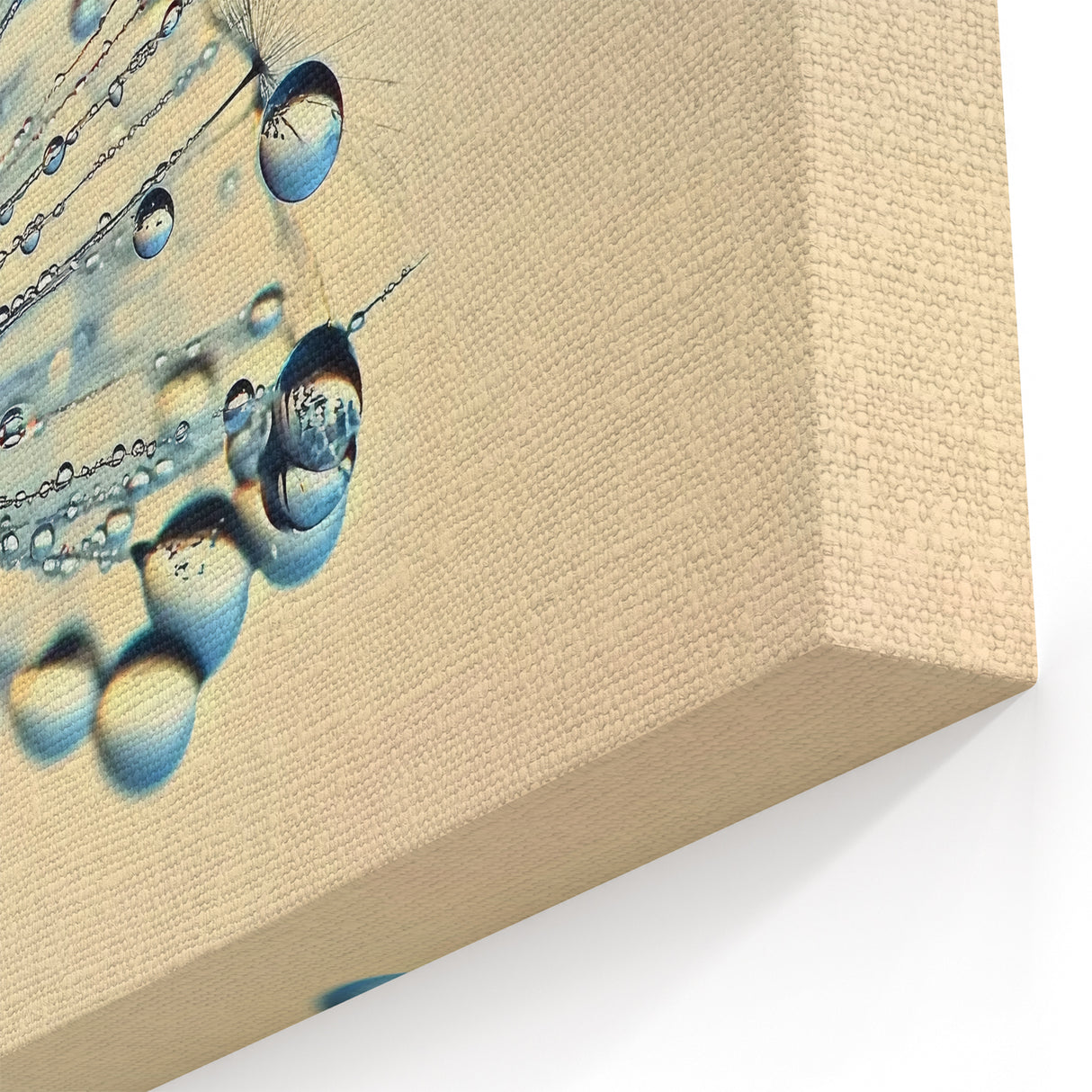 Delicate Water-Themed Wall Art - Dewy Dandelion Nature Close-Up