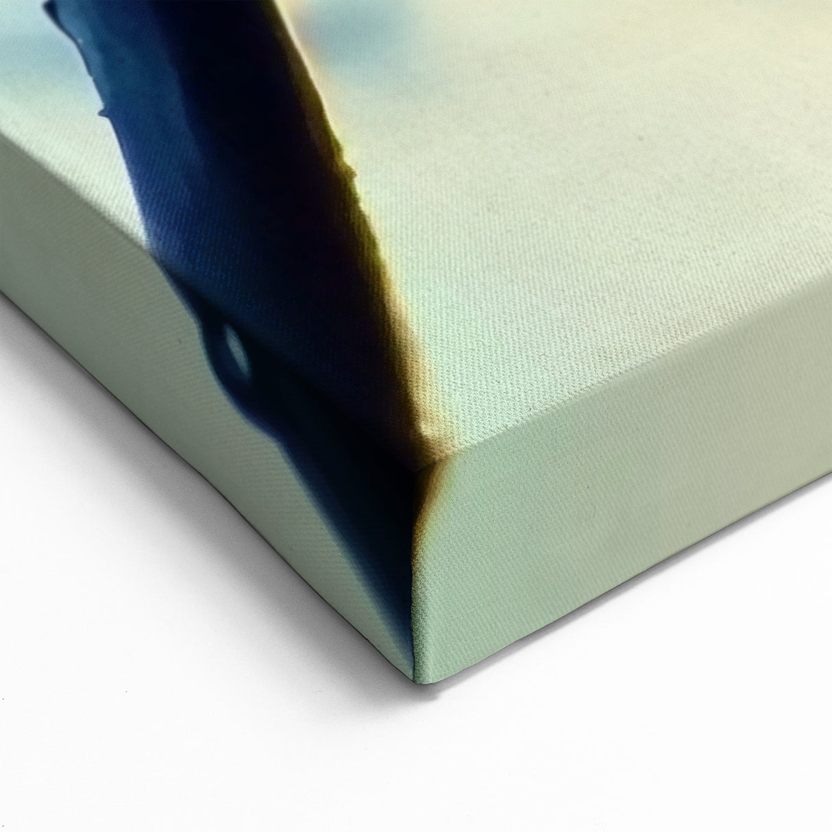 Delicate Water-Themed Wall Art - Dewy Dandelion Nature Close-Up