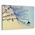 Elegant Water-Themed Wall Art - Dew-Draped Dandelion Close-Up
