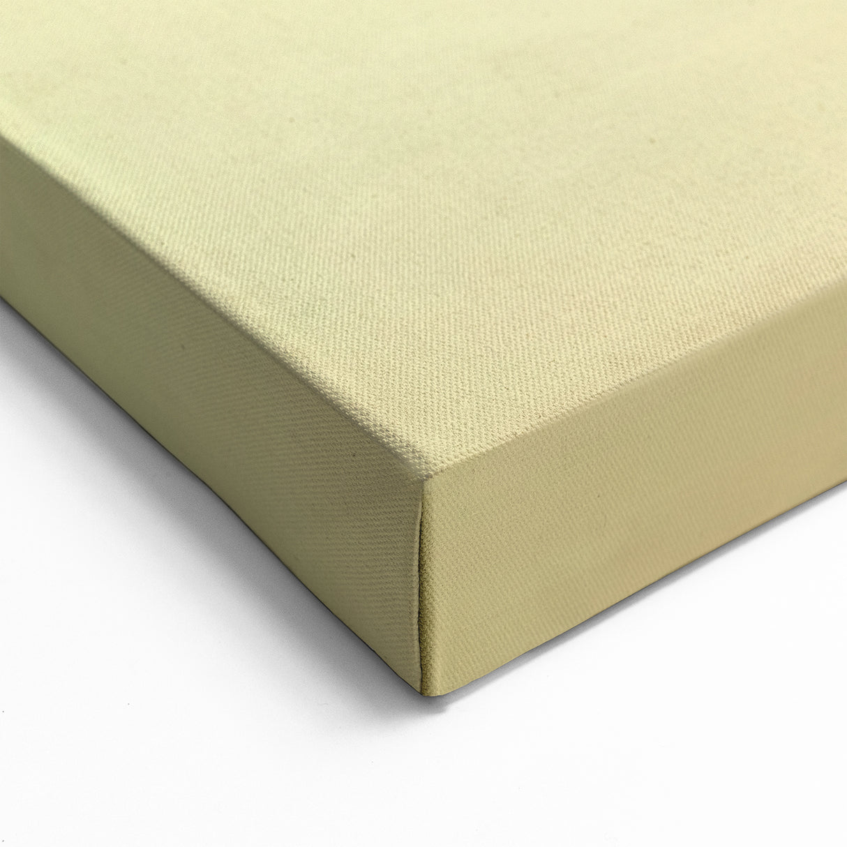 Elegant Water-Themed Wall Art - Dew-Draped Dandelion Close-Up