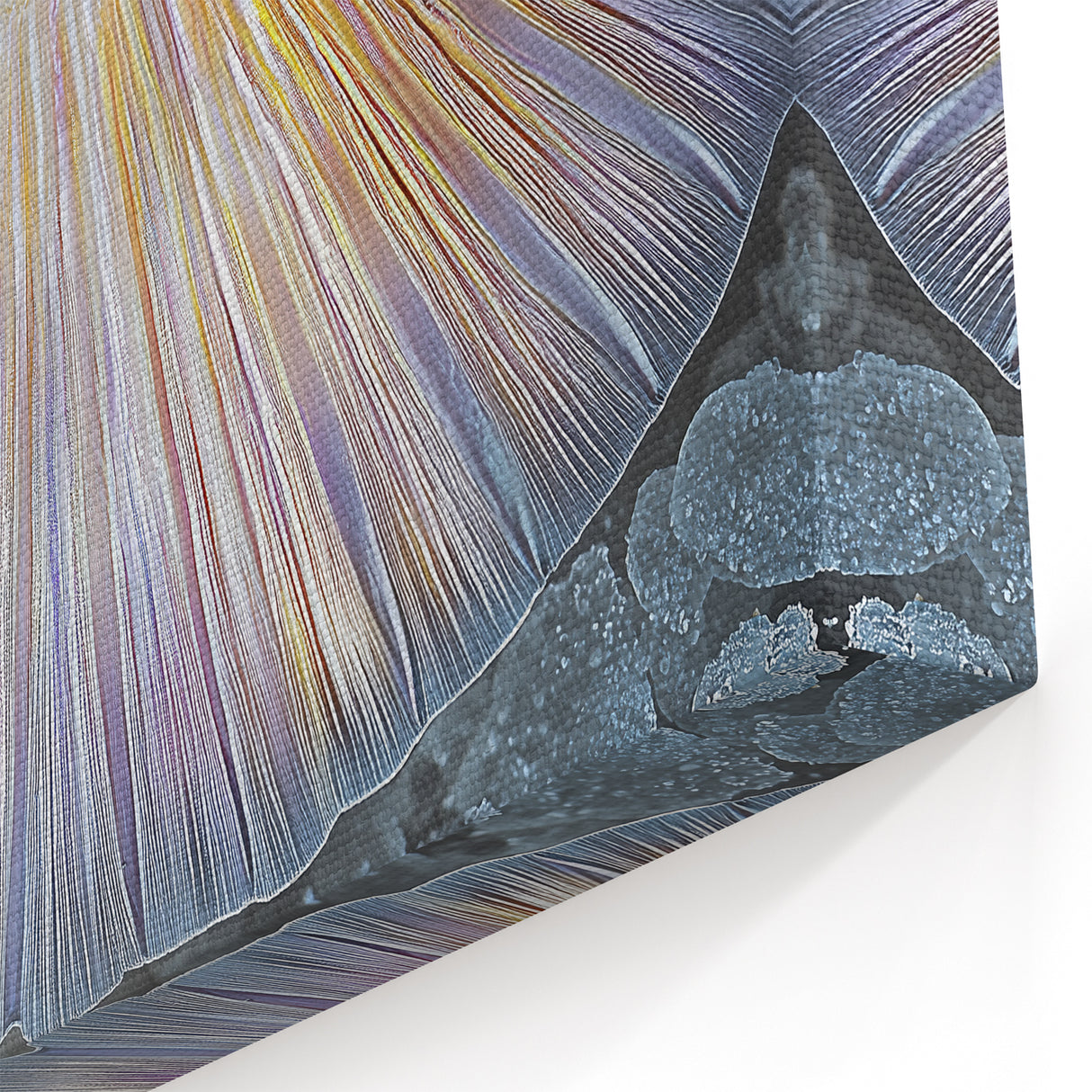 Nature Closeups Canvas Print - Iridescent Mermaid Tail Wall Art