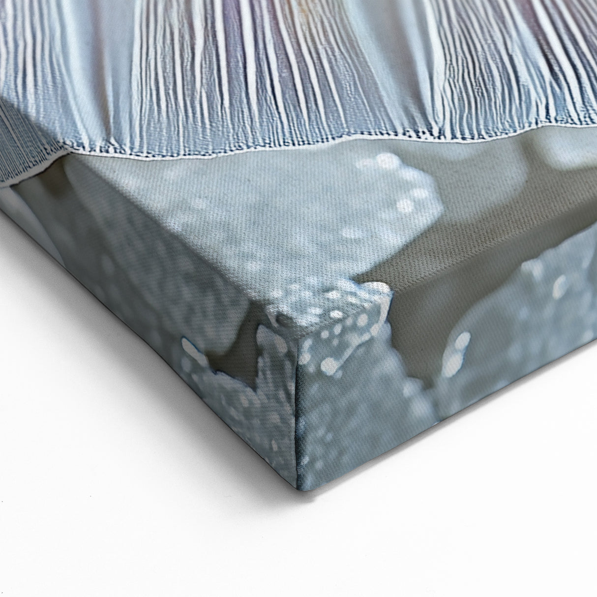 Nature Closeups Canvas Print - Iridescent Mermaid Tail Wall Art