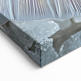 Nature Closeups Canvas Print - Iridescent Mermaid Tail Wall Art