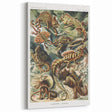 Lacertilia Modern Wall Art – Intricate Natural History Decor