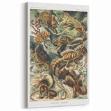 Lacertilia Modern Wall Art – Intricate Natural History Decor