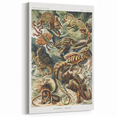 Lacertilia Modern Wall Art – Intricate Natural History Decor