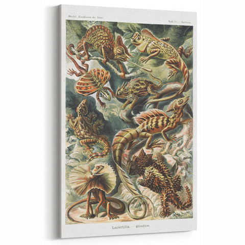 Lacertilia Modern Wall Art – Intricate Natural History Decor