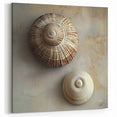 Natural Elements Wall Art - Seashell Closeup Canvas Print