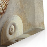 Natural Elements Wall Art - Seashell Closeup Canvas Print