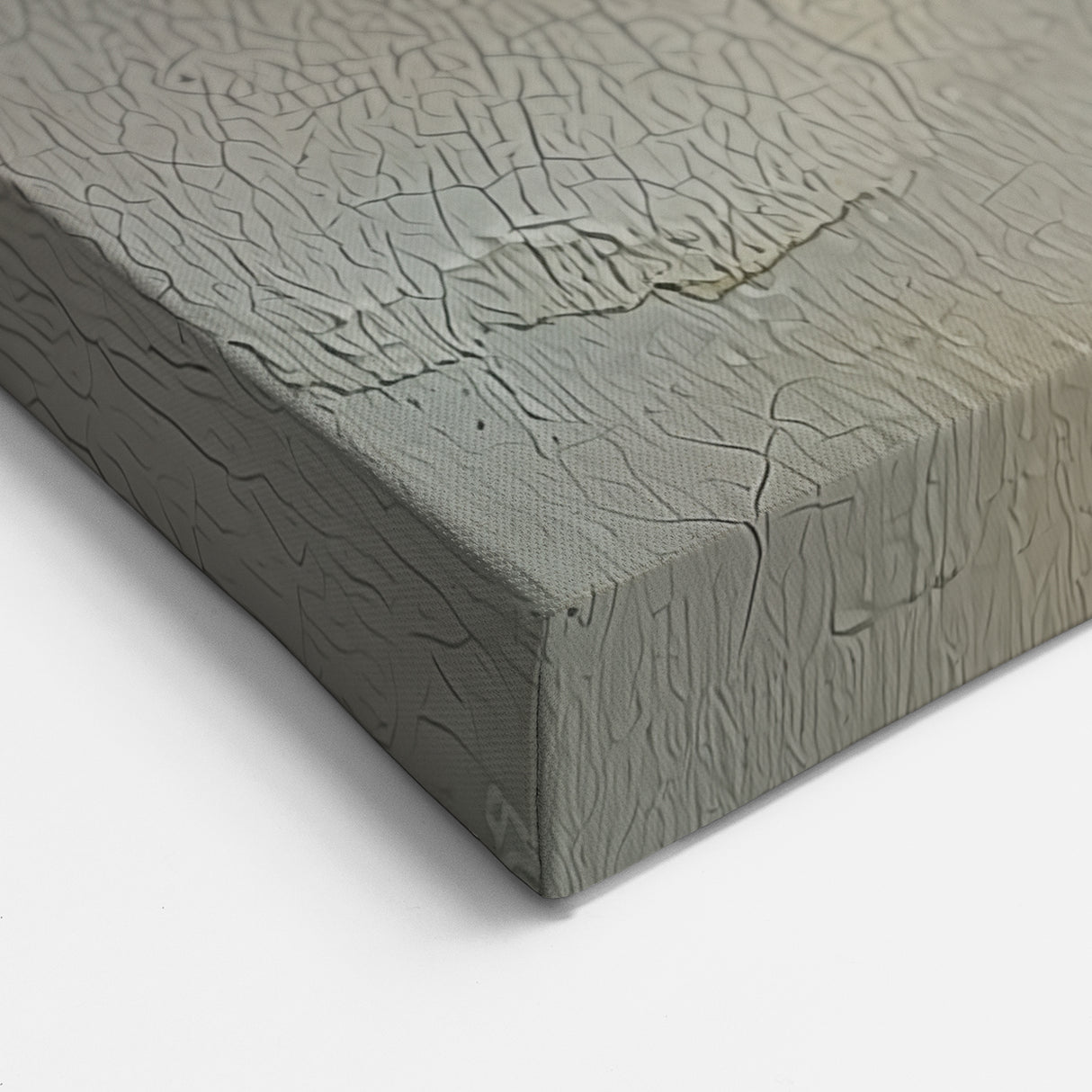 Natural Elements Wall Art - Seashell Closeup Canvas Print