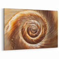Framed Nature Photography Prints - Spiral Shell Wall Art Closeup