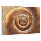 Framed Nature Photography Prints - Spiral Shell Wall Art Closeup