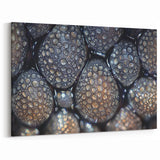 Botanical Wall Art Acrylic Glass - Abstract Nature Closeups Canvas Print
