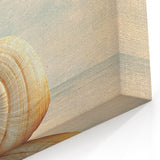 Framed Nature Photography Prints - Spiral Seashell Wall Art Canvas