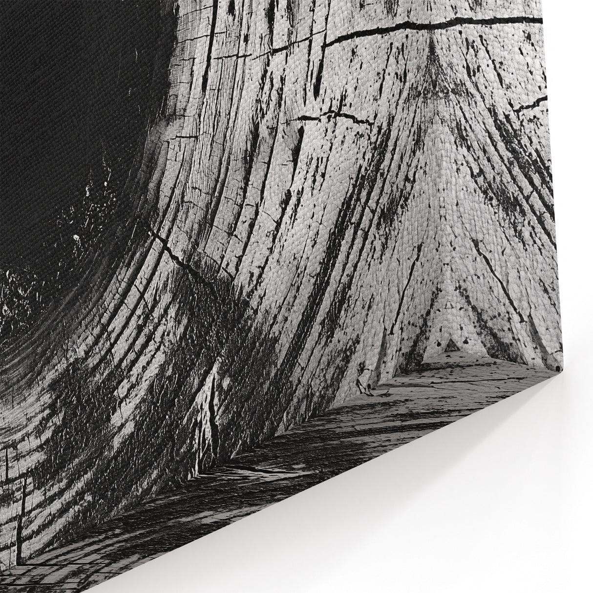 Black and White Art Canvas - Tree Ring Closeup Nature Photography Print