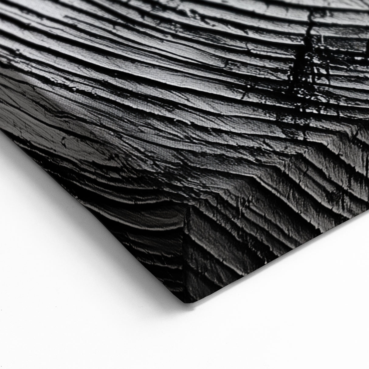 Black and White Art Canvas - Tree Ring Closeup Nature Photography Print