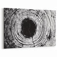 Framed Nature Photography Prints - Monochrome Tree Rings Wall Art