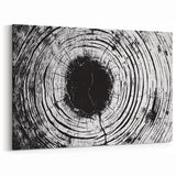 Framed Nature Photography Prints - Monochrome Tree Rings Wall Art