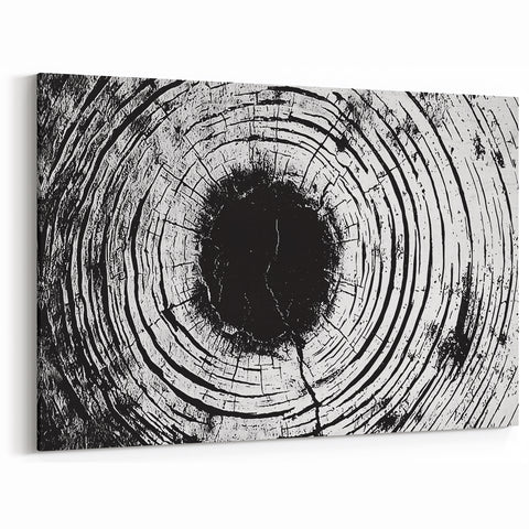 Framed Nature Photography Prints - Monochrome Tree Rings Wall Art
