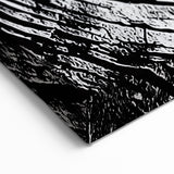 Framed Nature Photography Prints - Monochrome Tree Rings Wall Art