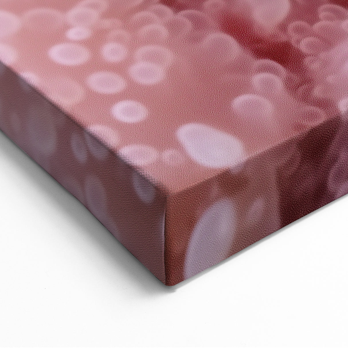 Botanical Wall Art Acrylic Glass - Pink Coral Nature Closeups Canvas