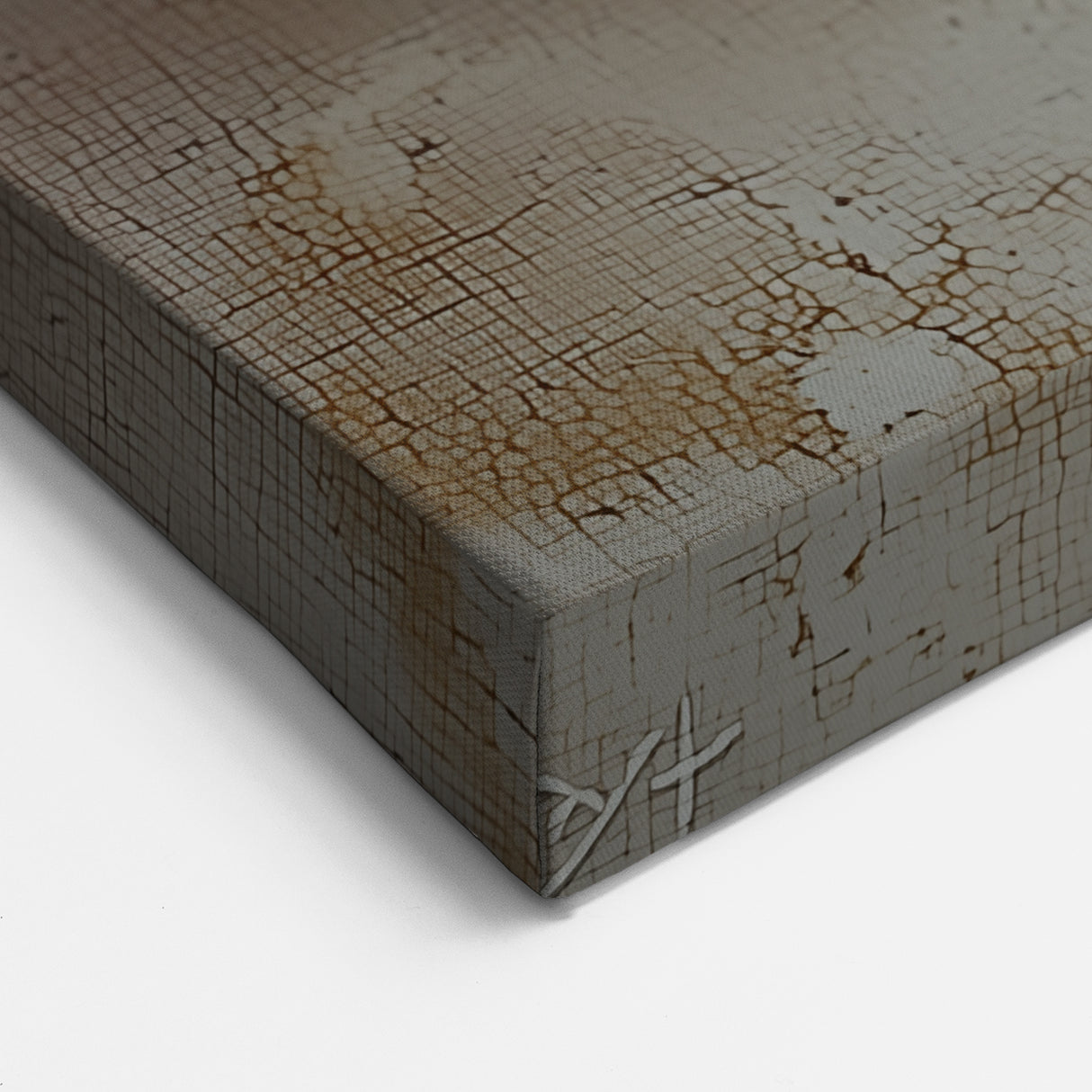 Stretched Canvas Nature Art - Spiral Shells Wall Art Acrylic Glass