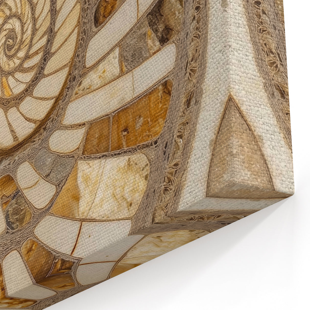 Framed Nature Photography Prints - Spiral Fossil Closeups Wall Art