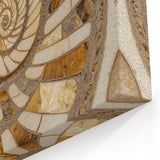 Framed Nature Photography Prints - Spiral Fossil Closeups Wall Art