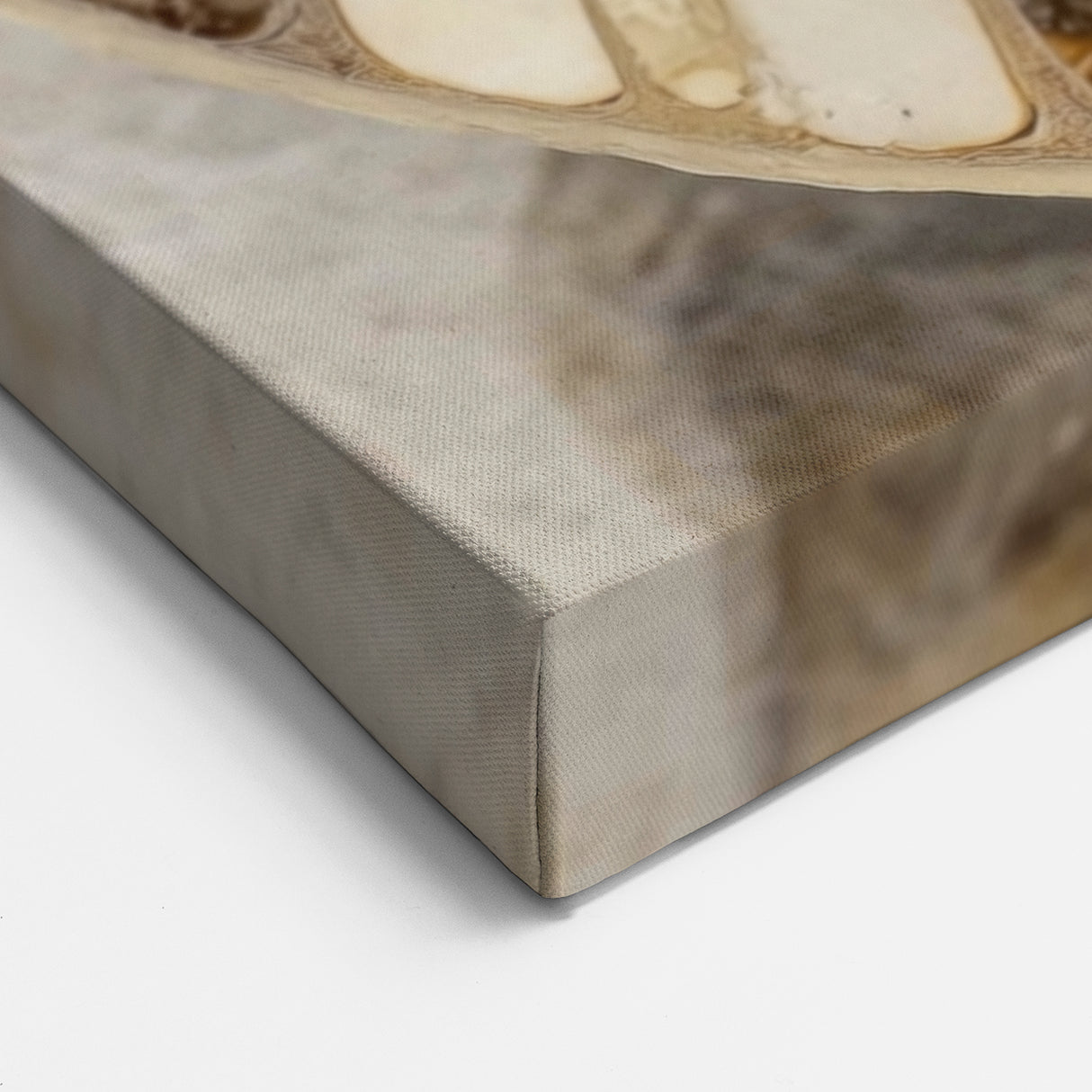 Framed Nature Photography Prints - Spiral Fossil Closeups Wall Art