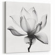 Black and White Lotus Abstract Art - Modern Monochrome Wall Decor