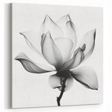 Black and White Lotus Abstract Art - Modern Monochrome Wall Decor