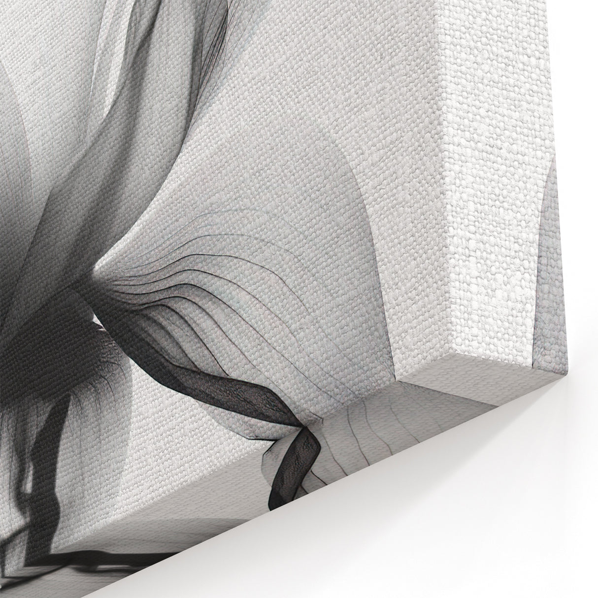 Black and White Lotus Abstract Art - Modern Monochrome Wall Decor
