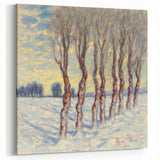 Winter Grove - Abstract Floral Art in Soft Blue and White Tones