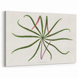 Romanticism Art: "Aralia Veitchii Leaf" by Alexander Lydon