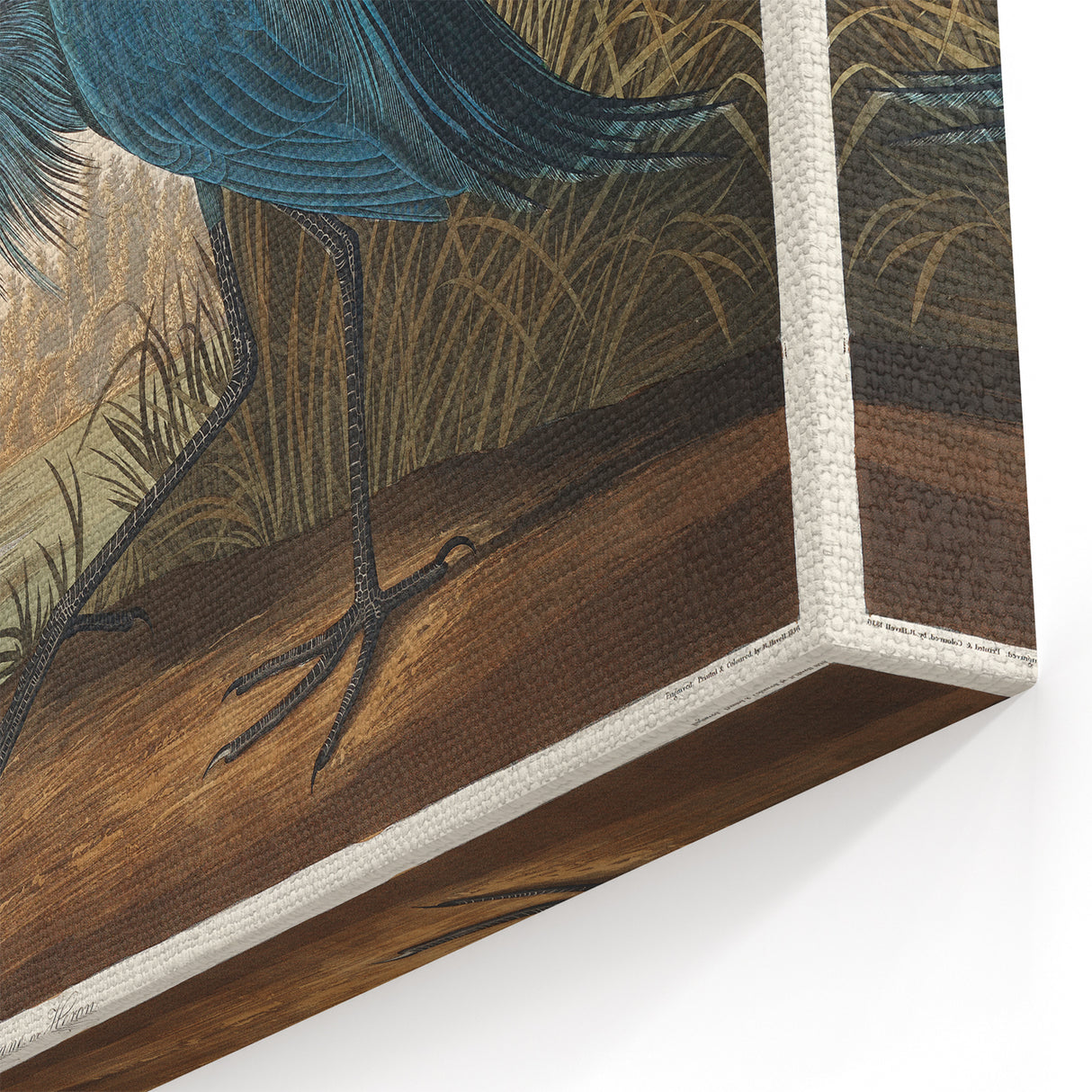 Blue Crane Heron Romanticism Art - Historical Romantic Canvas Print