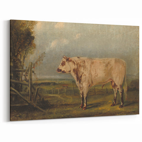 Classic Romantic Paintings: A Young Bull - Historic Pastoral Wall Art