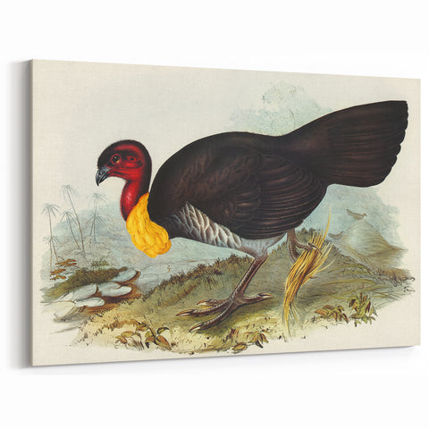 Famous Romantic Era Art: Brush Turkey Romanticism Art on Canvas