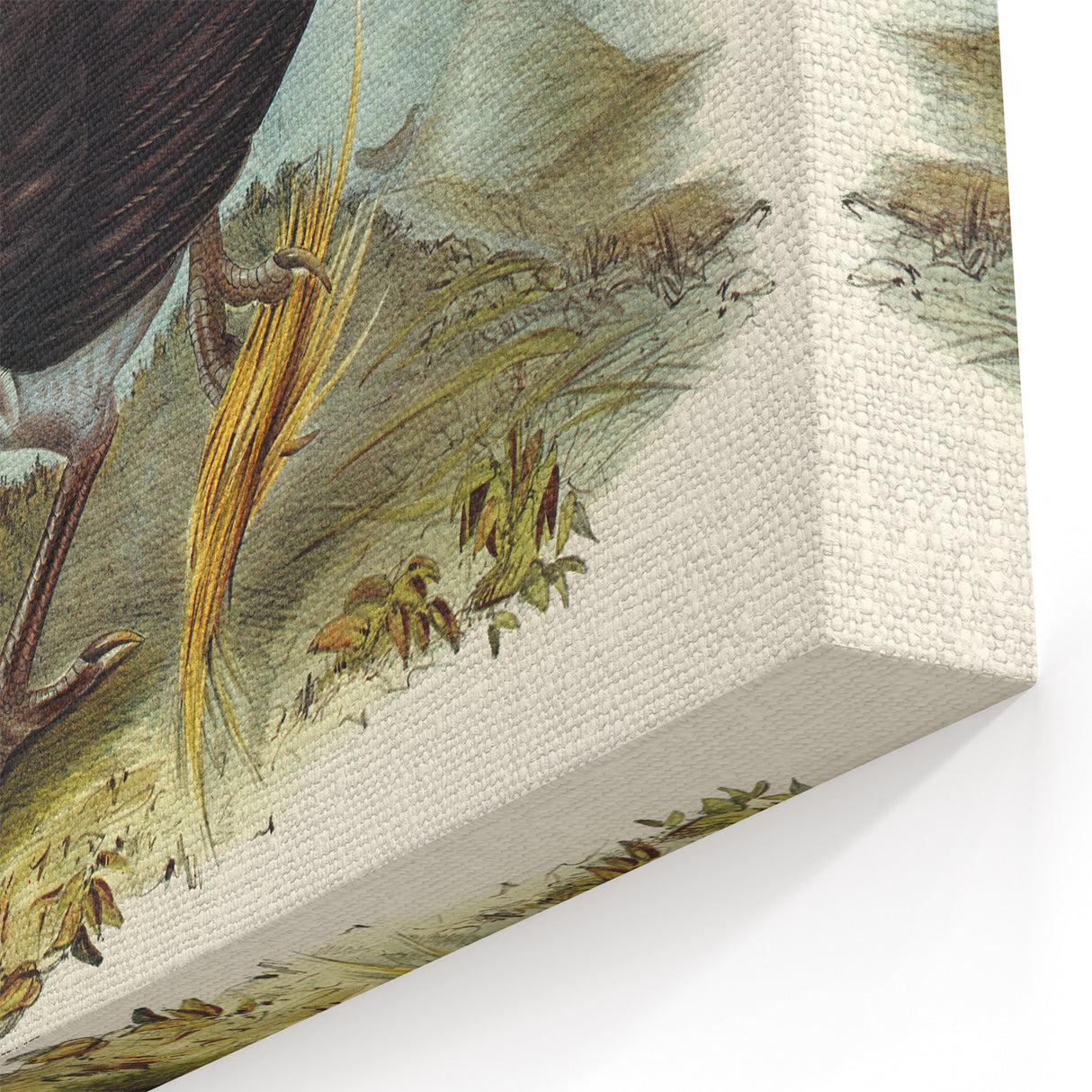 Famous Romantic Era Art: Brush Turkey Romanticism Art on Canvas