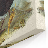Famous Romantic Era Art: Brush Turkey Romanticism Art on Canvas