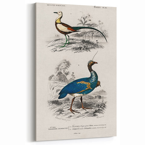 Historical Romanticism Canvas: Exotic Birds - Romantic Art Prints