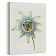 Famous Romantic Era Art: Passion Flower - Romantic Floral Canvas
