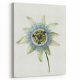 Famous Romantic Era Art: Passion Flower - Romantic Floral Canvas