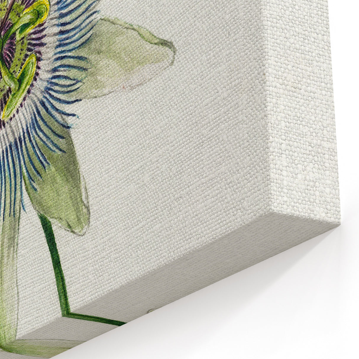 Famous Romantic Era Art: Passion Flower - Romantic Floral Canvas