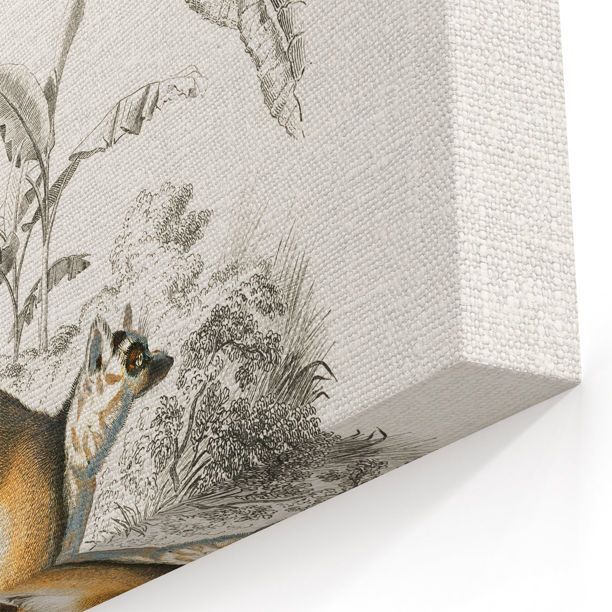Classic Romantic Paintings: Lemurs - Historical Romanticism Canvas