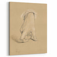 Romanticism Art: Alexander Hamilton Hand Study Canvas Print