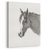 Romanticism Art: Horse Portrait by Jean Bernard Canvas Print