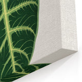 Romanticism Art: Alocasia Leaf Botanical Illustration Canvas Print